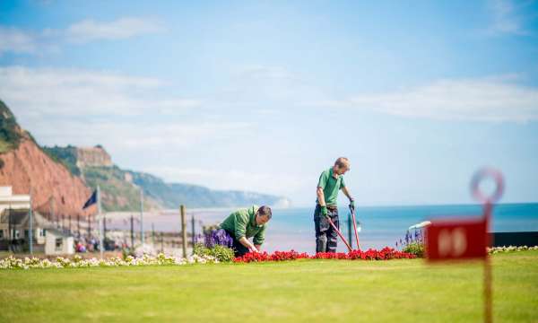 Victoria Hotel Gardeners Working with View of Sidmouth Beach and Cliffs