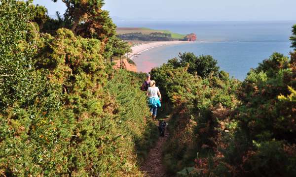 Couple Walking Their Dog on Coast Path Near Budleigh Salterton South Devon