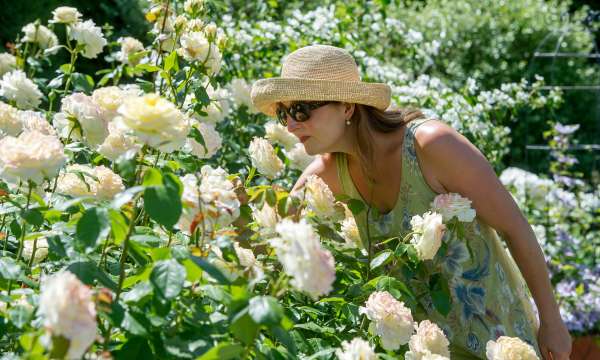 Woman and Roses at RHS Rosemoor