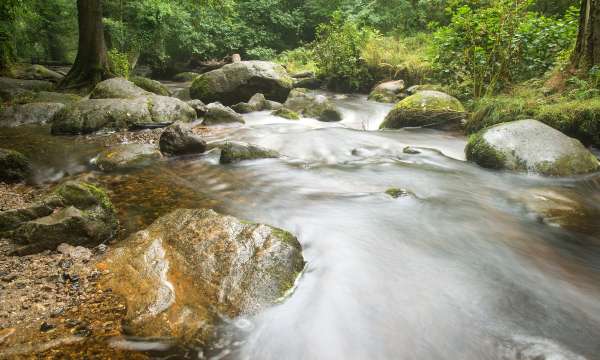 Waterfall at Becky Falls