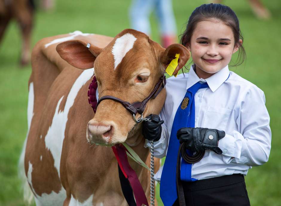 Girl with Cow at Devon County Show Parade