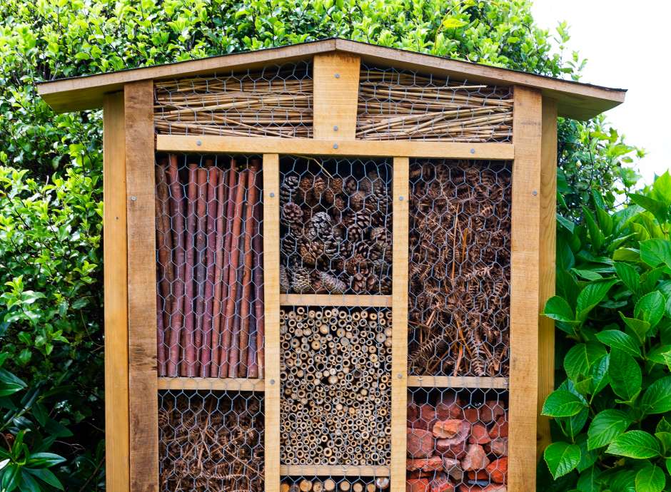 Bug Hotels The Victoria Hotel Sidmouth Bug Hotels The Victoria Hotel Sidmouth