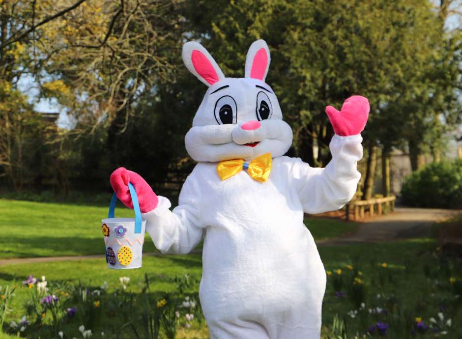 Bunny costume in a garden