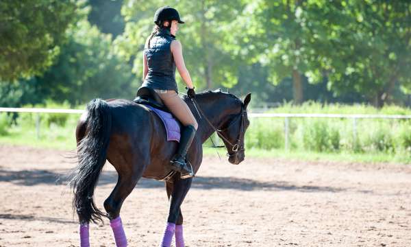 Horse Riding Budleigh Salterton Riding School