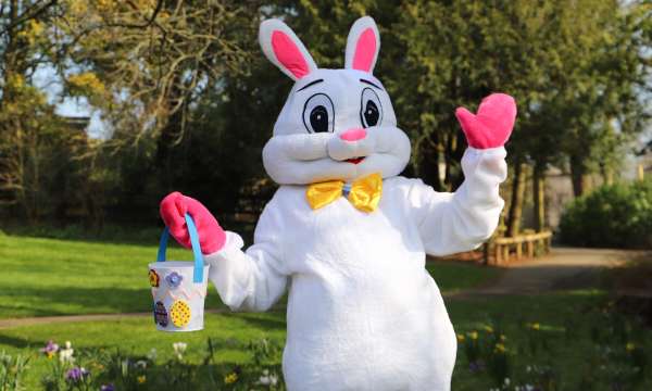 Bunny costume in a garden
